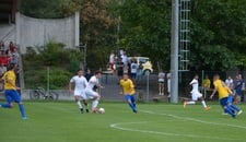 Serie A-Verein Parma die Stirn geboten (1:3)