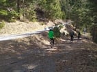 Downhillfahren in Naturns und Umgebung