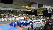 Sektion Karate: Teilnahme an Europameisterschaft in Ungarn