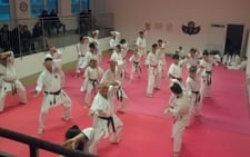 Sektion Karate: Full House mit Kumite und Kata