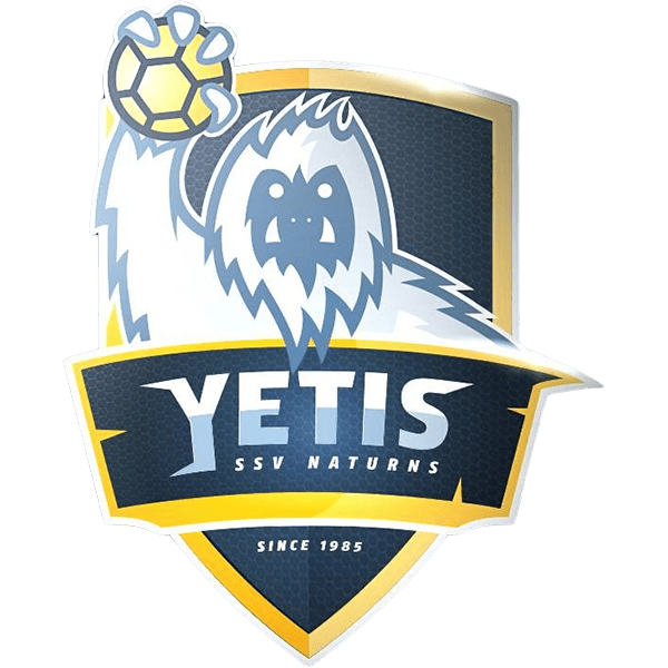 Logo Symbol Sektion Handball 