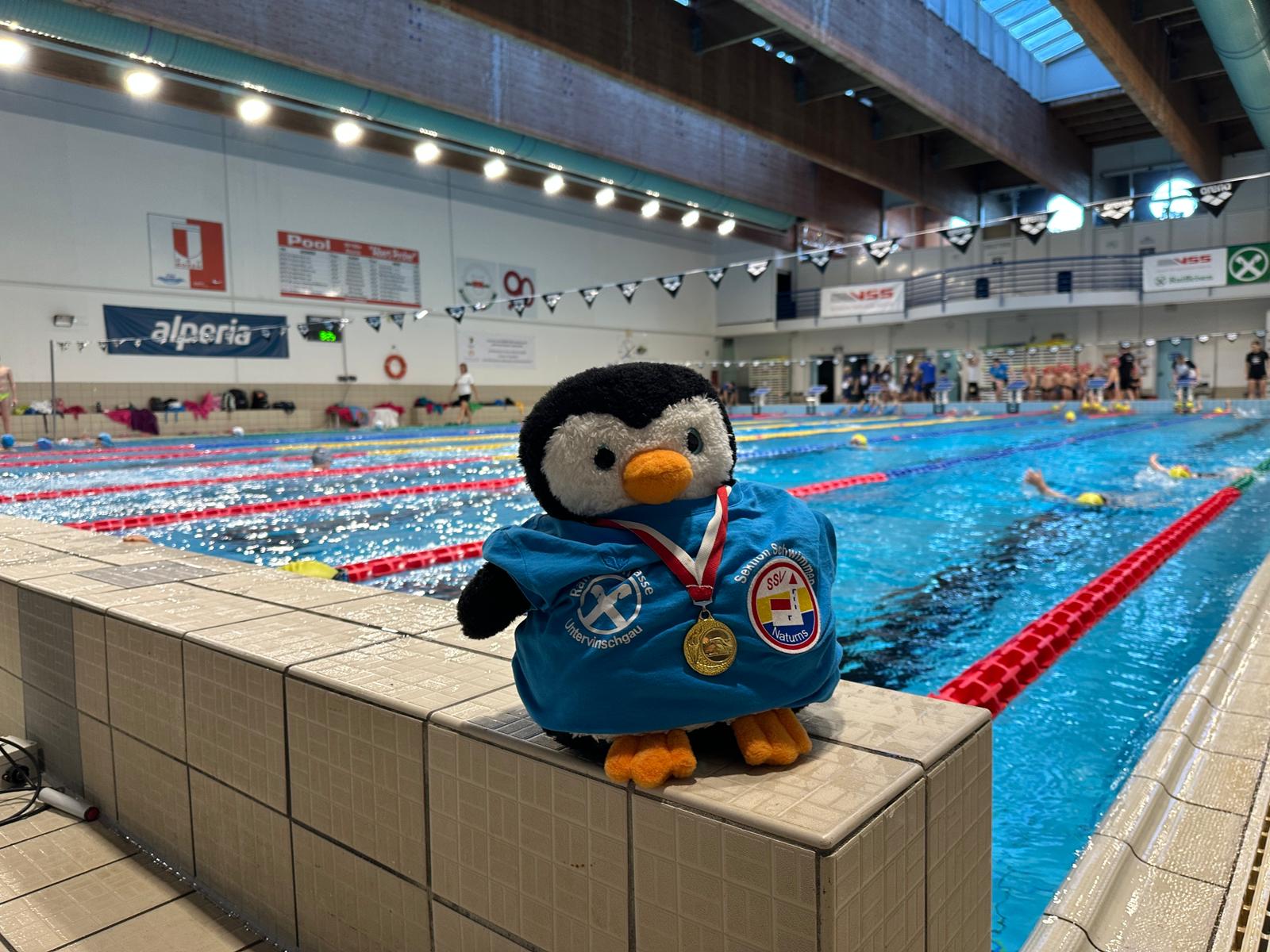 Erfolgreicher Kinder‑Wettkampf in Bozen – 01.02.2026 🏊‍♂️🐧✨