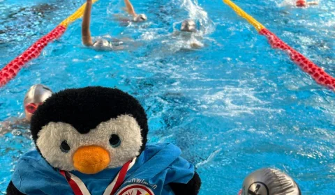 ssv kinderwettkampf 2026 02 01