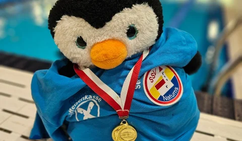 2026 05 17 vss kinderschwimmwettkampf meran