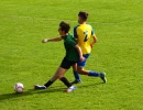 dsc