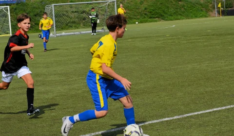 dsc dsc