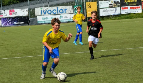 dsc dsc