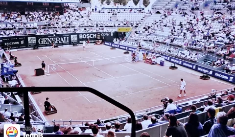 tennis tennis