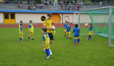 dsc dsc
