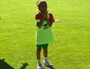 dsc