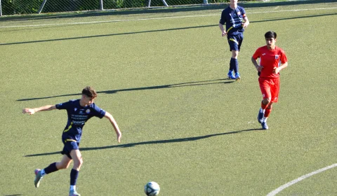 dsc