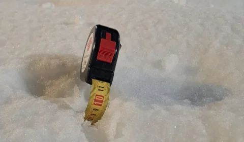 whatsapp image026 020 at 00.01.38  