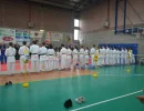 dsc