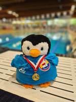 2025-05-10_Meran_01_original