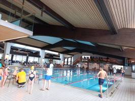 tmp_74893b4a-8605-4214-85a2-5ef4e1cf712e_original_copy_1